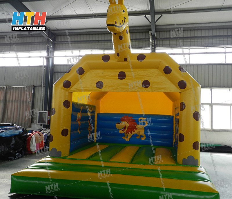 Bounce house for birthday party