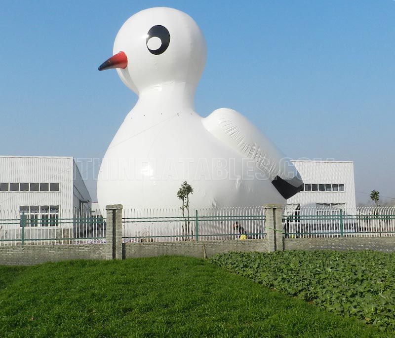 Advertising Inflatable Module-Seagull