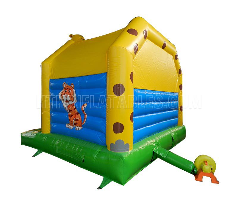 Bounce house for birthday party
